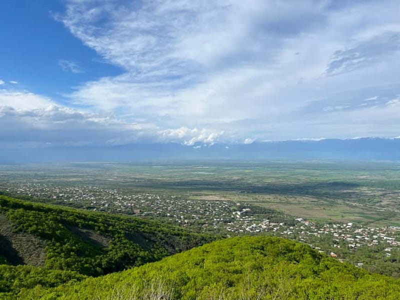 Sighnaghi Day Trip with wine tasting and Bodbe Monastery - Patardzeuli wine tasting: four wines and chacha