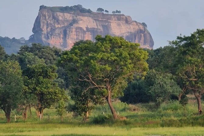 Sigiriya & Dambulla Cave Temple Day Trip from Colombo - Three major sights in one private trip