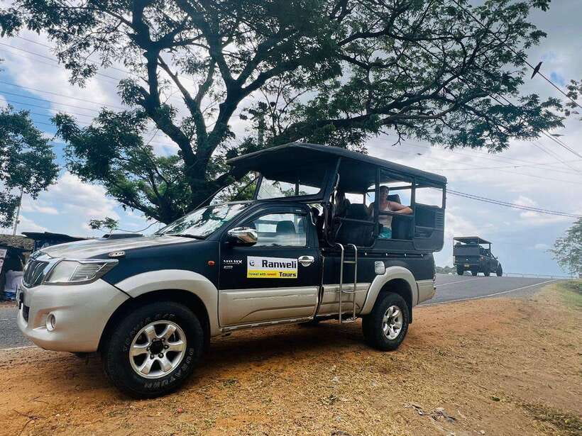 Sigiriya Rock , Dambulla Cave Temple Day Tour from Kandy” - What the $30 price really covers