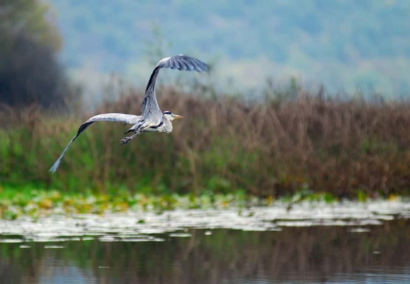 Skadar lake cruise - Virpazar - Kom monastery - Virpazar - Arriving at Kom Monastery