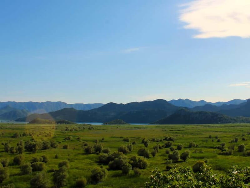 Skadar Lake National Park: Guided Boat Tour to Kom Monastery - Boat, group size, and comfort