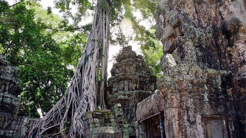 Small-Group Explore Angkor Wat Sunrise Tour with Guide - Ta Prohm and Its Tree Roots