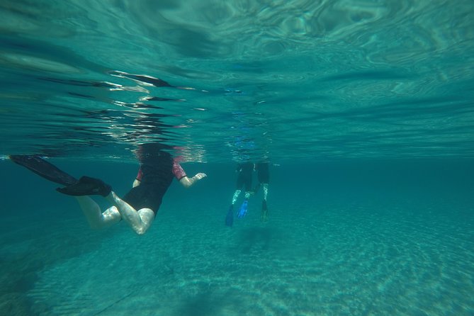 Snorkeling and swimming tour to the Poseidon's temple at Sounio cape - Starting at Extreme Divers in Ilioupoli