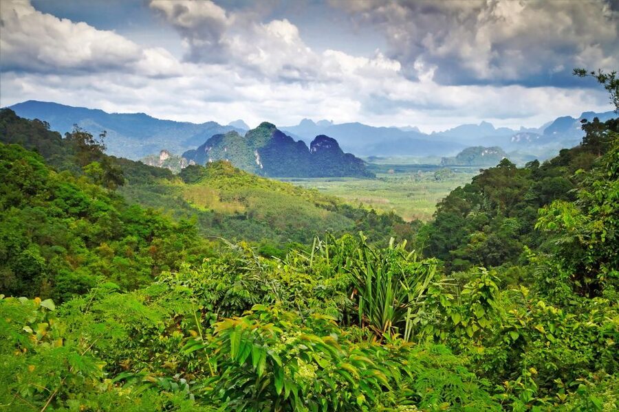 Sok River: Bamboo Raft Ride, Monkey Temple & View Point Tour - The monkey cave temple is lively and unpredictable