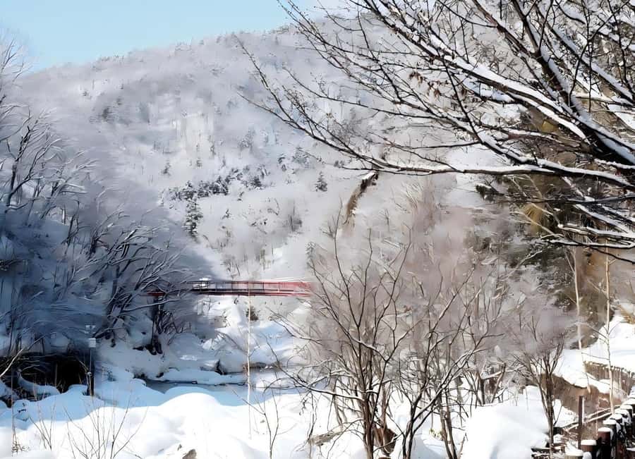 Sopporo: Hokkaido Shrine and Atama Daibutsu Full-Day Tour - Key points at a glance