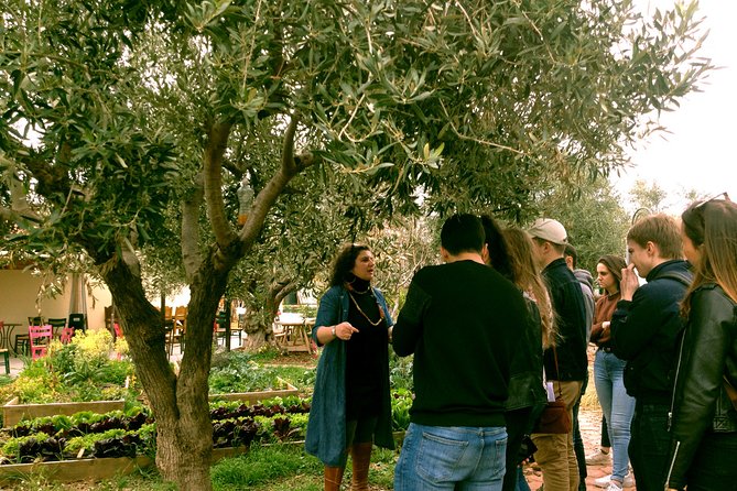 Sounion Highlights: Vouliagmeni, Olive Farm, Poseidon Temple, Thorikos Theatre - An organic farm lunch near Sounion