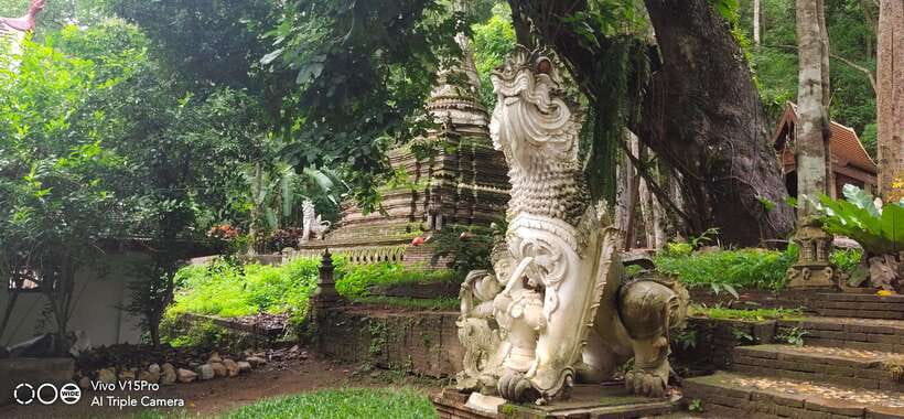 Spiritual Sunrise Wat Doi Suthep, Pha Lat, Alms & Meditation - Who should book this morning?