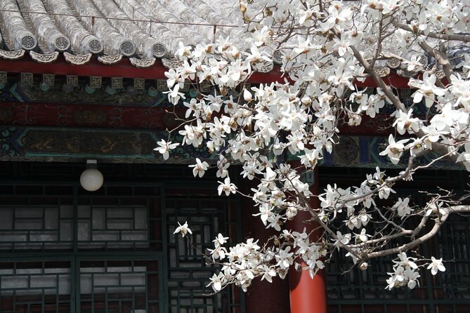 Summer Palace Ticket with optional Guided Tour - Hall of Benevolence and Longevity, the formal beginning