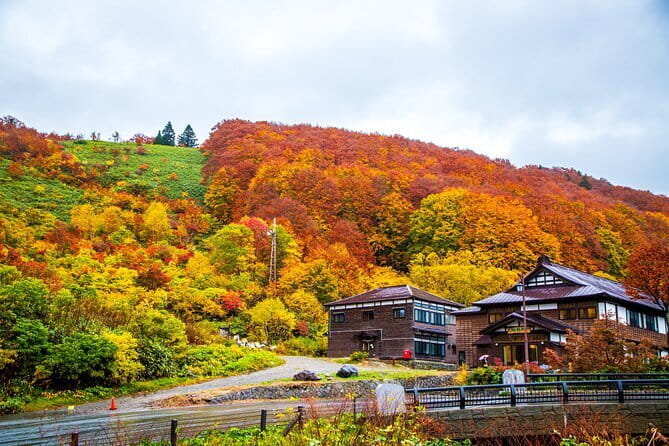 Takayama Inari Shrine Tour with Private Transportation - Timing, booking, and weather details