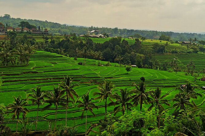 Tanah Lot Tour: Discover Bali’s Iconic Temple and Stunning Views - A guide and car can make or break twelve hours
