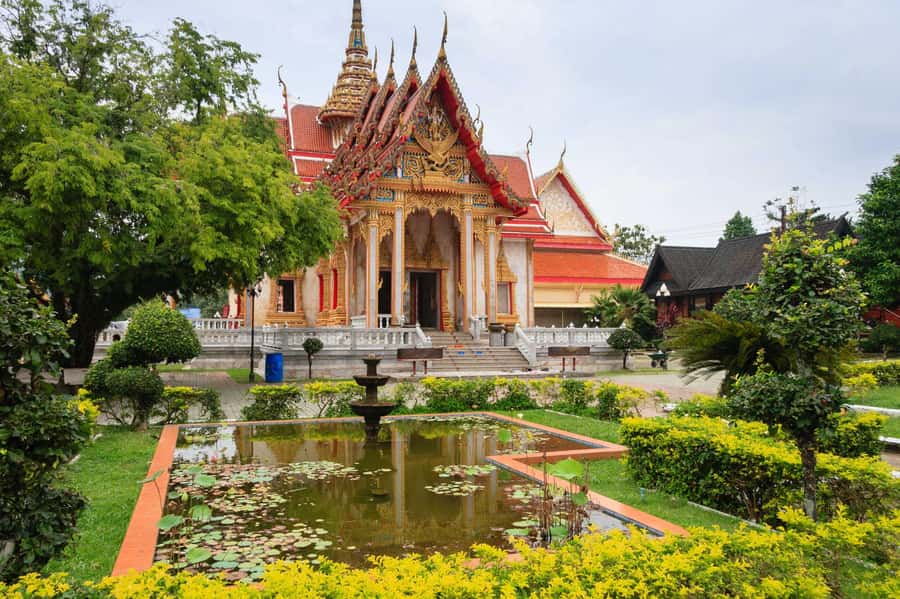 Temple and Jungle Trekking tour with Lunch at Farm-to-Table - Coconut, watermelon, and Thai sweets after the climb