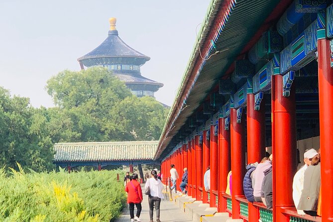 Temple of Heaven Ticket - The North Gate-area sights give you a quieter start