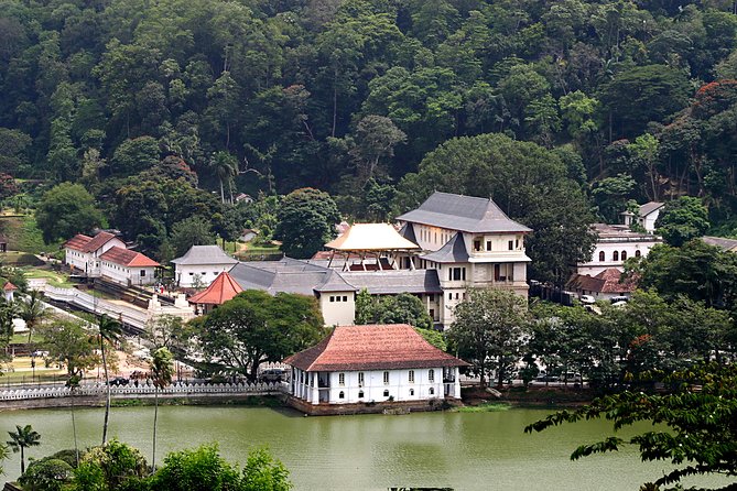 Temple of The Sacred Tooth Relic Entrance Ticket with Guide - Practical details that can affect your visit