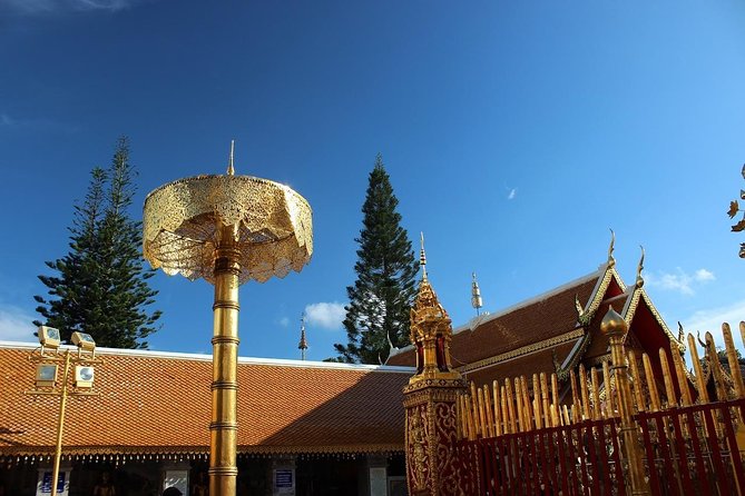 The Best Chiang Mai City Private Tour: Famous Temples & Viewpoint - Wat Chedi Luang and Chiang Mai’s old center