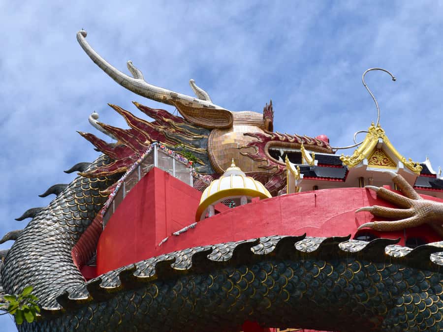 The Souls BKK: Floating Market, Dragon Temple, Na Satta Park - Who should book this day trip?