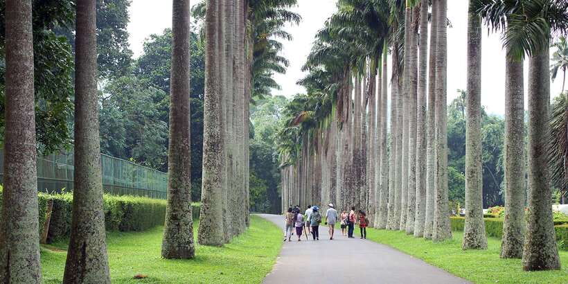 Three Temples Loop In Kandy Day Tour By Tuk Tuk - Gadaladeniya Temple shows a different side of Kandy