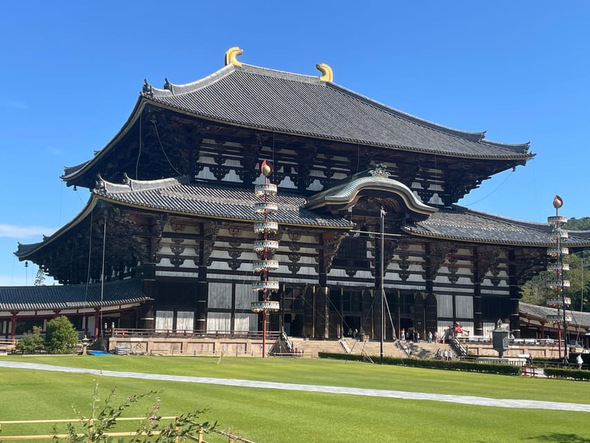Todaiji Temple, Kasuga Shrine and Nara Park Guided Full Tour - Meeting Nara’s famous deer