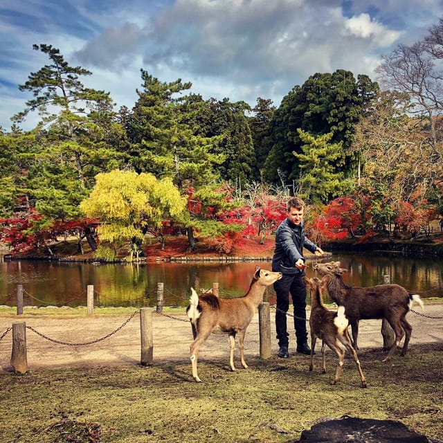 Todaiji Temple, Kasuga Shrine and Nara Park Guided Full Tour - Ukimido Pavilion beside Sagi Pond