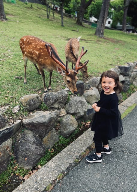 Todaiji Temple, Kasuga Shrine and Nara Park Guided Full Tour - What the $116 price gets you