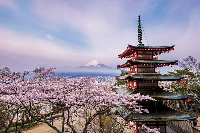 Tokyo: Asakusa Temple & Shrine Walking Tour with Local Guide - Kaminarimon and the 700-kilogram lantern