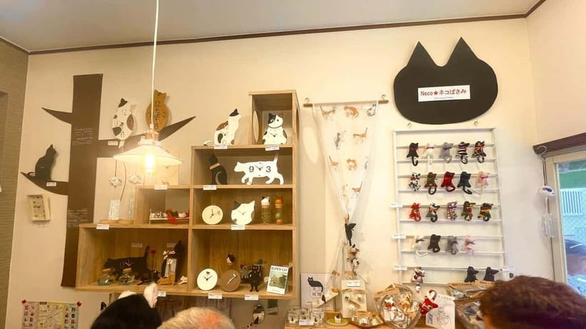 Tokyo: Gotokuji Cat Temple, Shinjuku Cat Cafe & 3D Cat Tour - What the guides add to the day