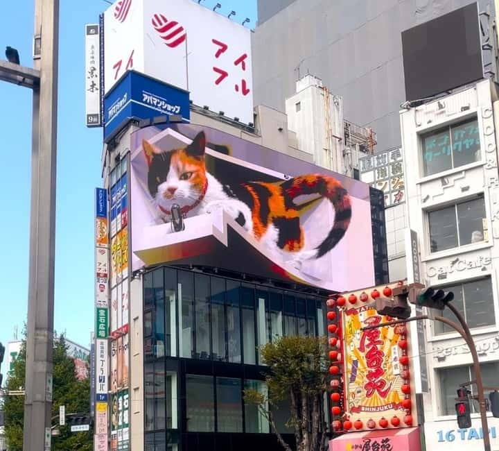Tokyo: Gotokuji Cat Temple, Shinjuku Cat Cafe & 3D Cat Tour - Who should book this cat-themed Tokyo experience?