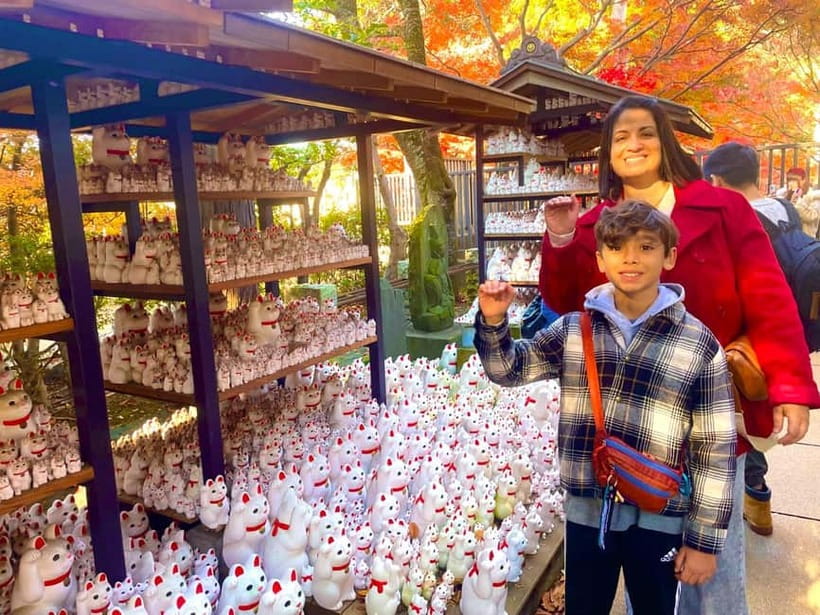 Tokyo: Gotokuji Cat Temple, Shinjuku Cat Cafe & 3D Cat Tour - Meeting the Giant 3D Cat in Shinjuku