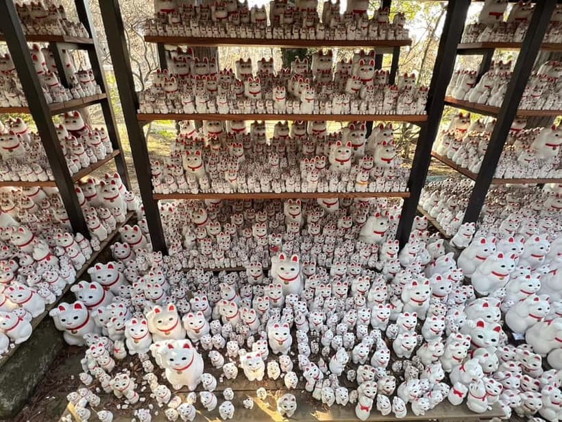 Tokyo: Gotokuji Culture Walk & Lucky Cat Temple Experience - Practical tips before you go