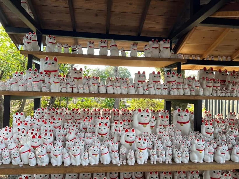 Tokyo: Gotokuji Culture Walk & Lucky Cat Temple Experience - Who will enjoy this Gotokuji walk most