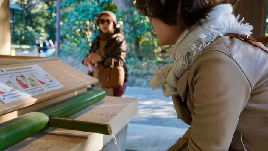 Tokyo: Harajuku Meiji Shrine Guided Tour-Discover Shinto - Learning how to visit Meiji Jingu respectfully