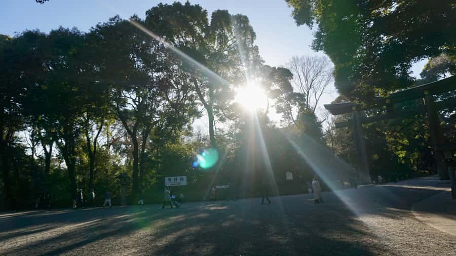 Tokyo: Harajuku Meiji Shrine Guided Tour-Discover Shinto - Who will enjoy this experience most?