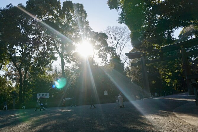Tokyo: Harajuku Meiji Shrine to Shibuya Crossing Guided Tour - Walking toward Shibuya Crossing
