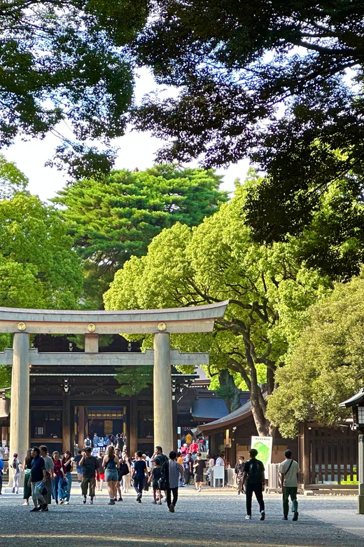Tokyo: Meiji Jingu Shrine and Shinto Culture Walking Tour - The Big Torii and the first change of pace