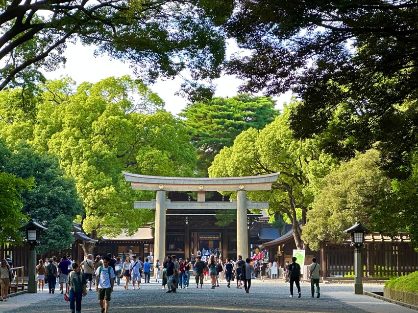 Tokyo: Meiji Jingu Shrine and Shinto Culture Walking Tour - What the guides add to the visit