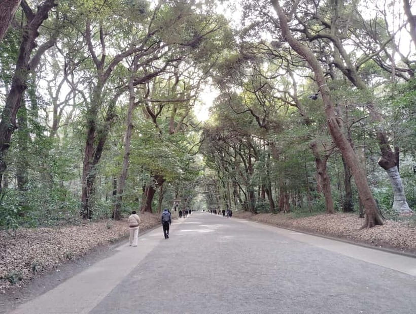 Tokyo: Meiji Jingu Shrine & Inner Garden Guided Tour (2h) - Omikuji, fortune-telling, and protective charms