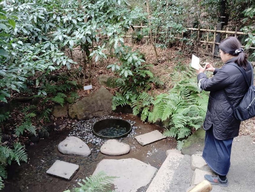 Tokyo: Meiji Jingu Shrine & Inner Garden Guided Tour (2h) - A quieter path through Shinen Garden