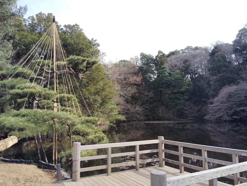 Tokyo: Meiji Jingu Shrine & Inner Garden Guided Tour (2h) - What the $48 price really covers
