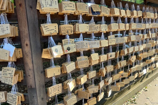 Tokyo: Meiji Shrine and Shinto Culture Walking Tour - Who will get the most from this tour