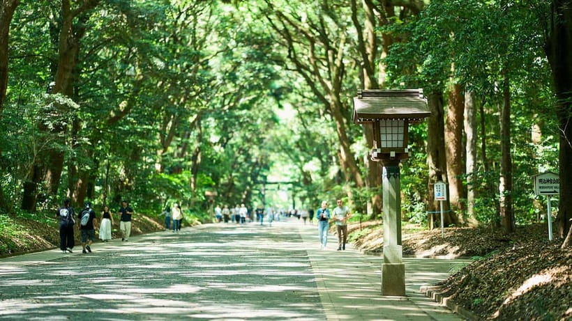 Tokyo: Meiji Shrine Walking Tour — Shinto & Imperial System - Key things to know before you go