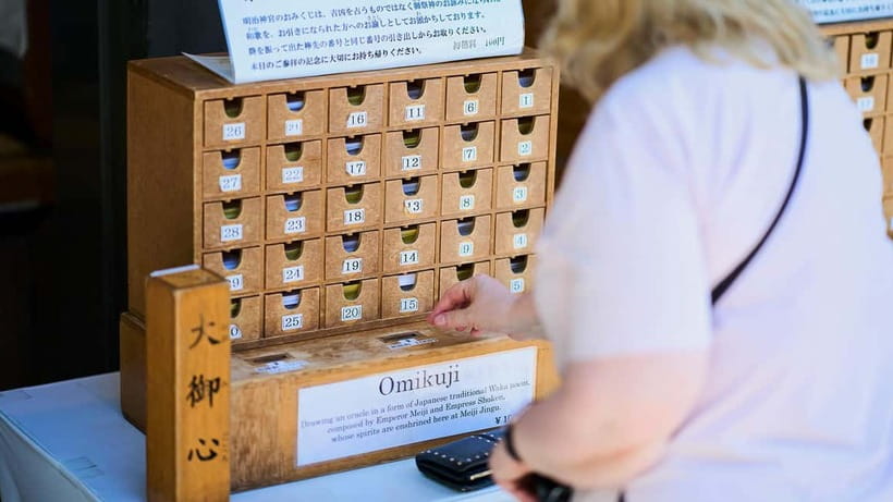 Tokyo: Meiji Shrine Walking Tour — Shinto & Imperial System - The 12-meter torii made from ancient cypress