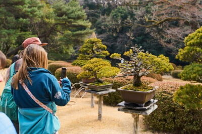 Meiji Shrine Walking Tour — Shintoism & Imperial System