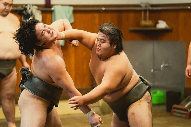 Tokyo: Meiji Shrine Walking Tour — Shintoism & Imperial System - Who should book this walking tour?