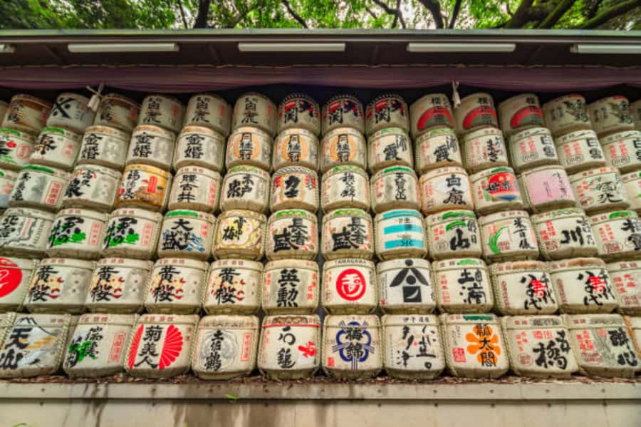 Tokyo: Meiji Shrine Walking Tour with Local Guide - Why This Meiji Shrine Walk Is Worth Your Time