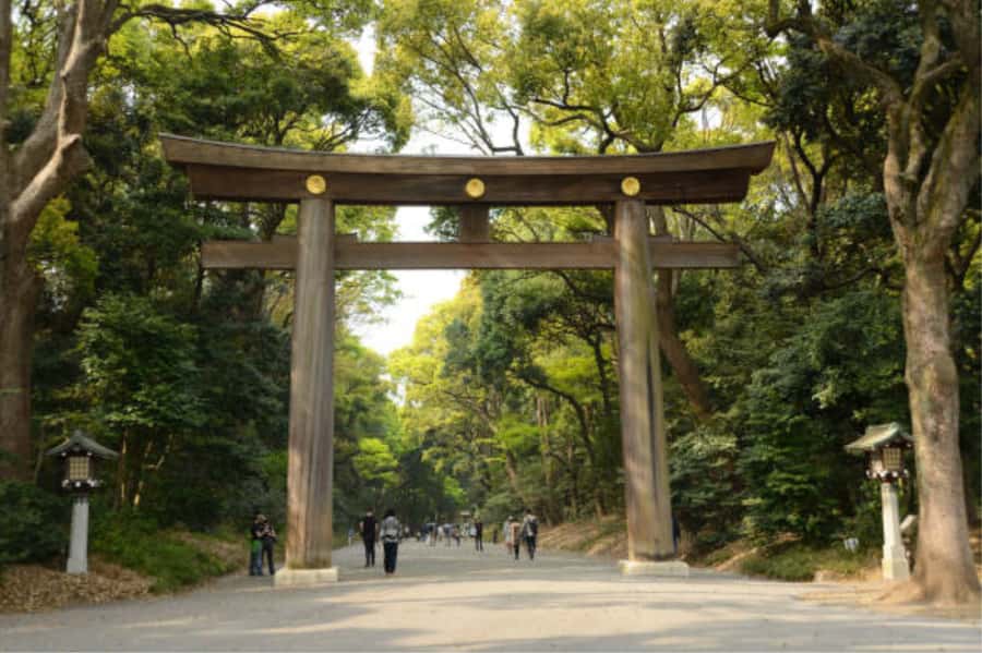 Tokyo: Meiji Shrine Walking Tour with Local Guide - Who Will Get the Most From This Experience