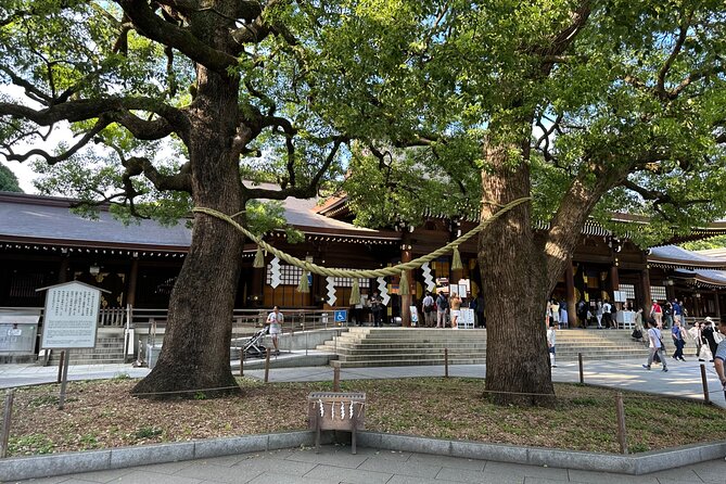 Tokyo Morning Tour: Asakusa, Meiji Shrine and Tsukiji Fish Market - Senso-ji and the old streets of Asakusa