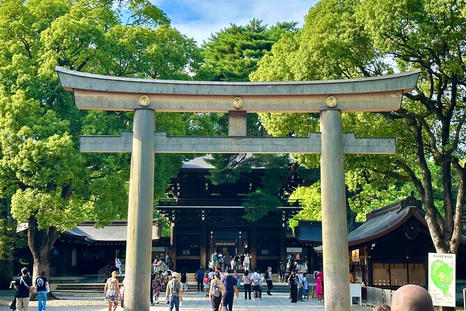 Tokyo Morning Tour: Asakusa, Meiji Shrine and Tsukiji Fish Market - Timing, pace, and practical trade-offs