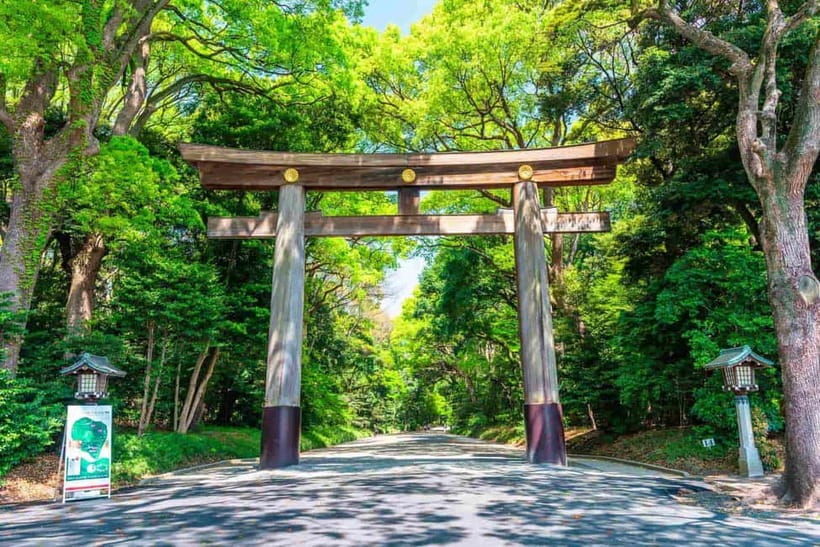 Tokyo Morning Tour: Meiji Shrine, Asakusa & Fish Market - Why this morning route works so well