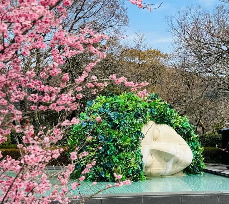 Tokyo: Mt. Fuji, Owakudani, Hakone Shrine, & Open-Air Museum - Owakudani and the smell of the earth