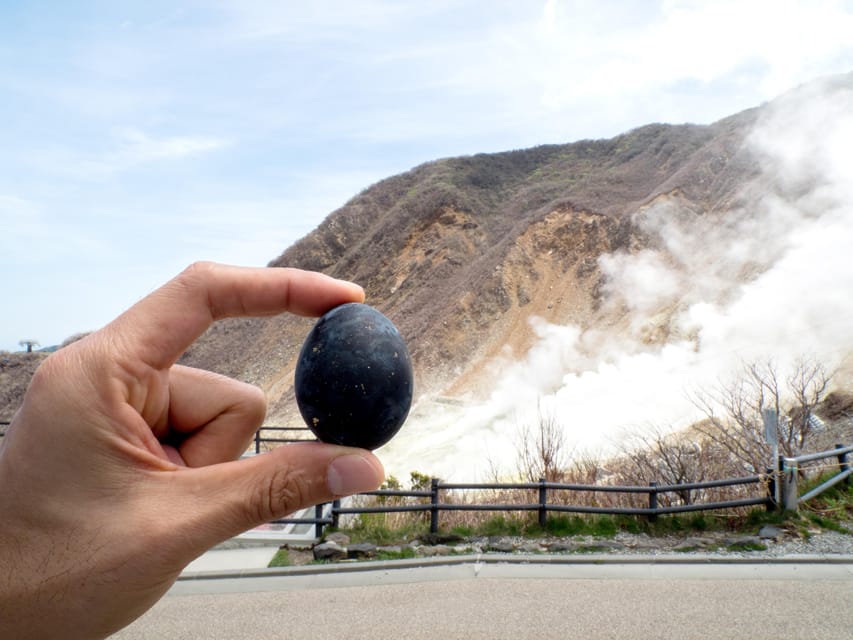 Tokyo: Mt. Fuji, Owakudani, Hakone Shrine, & Open-Air Museum - How to get the most from the day