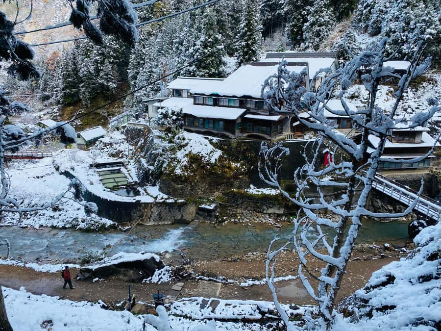 Tokyo/Nagano: private Tour with Snow Monkey Park & Temples - The real tradeoff: Tokyo convenience versus a very long day